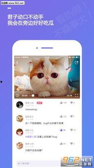 在线短片手机观看,在线短片手机观看体验解析